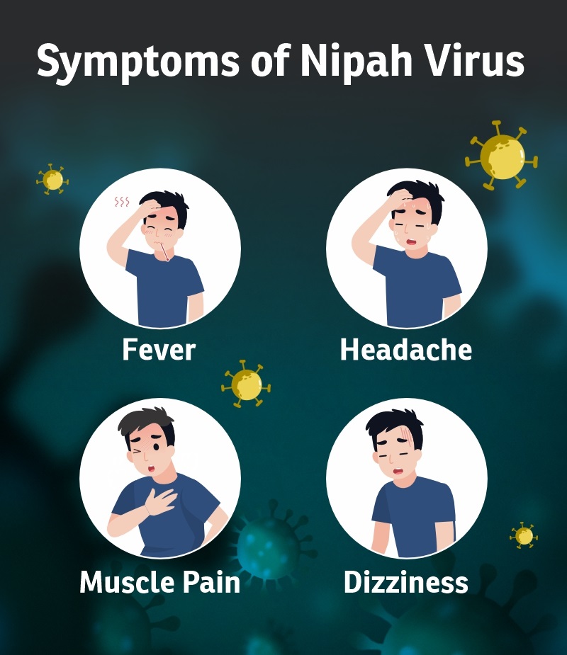 Key Facts About Nipah Virus And Precautions To Prevent It, 50% OFF