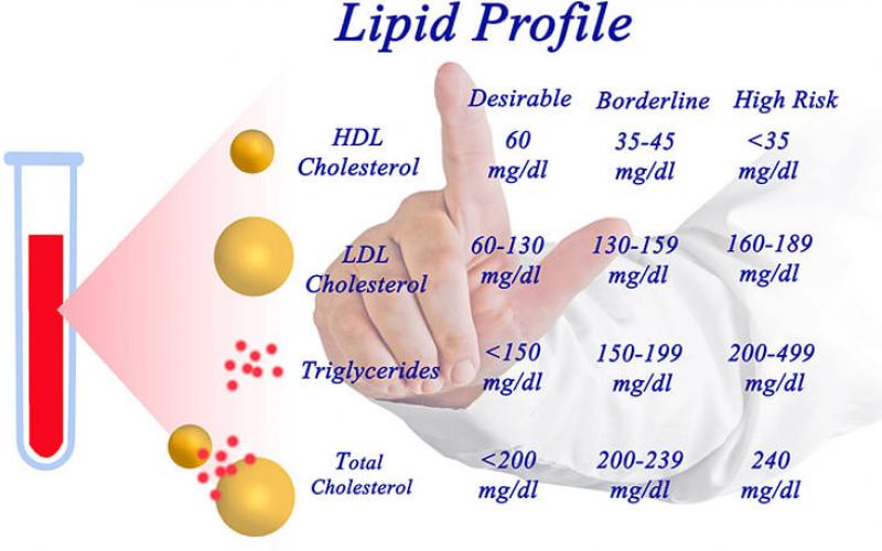 What Is A Lipids Blood Test For Sitelip