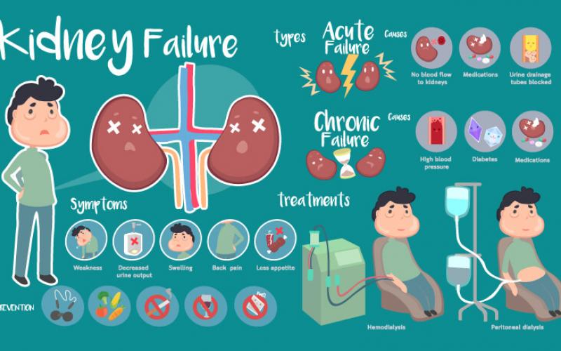 facts-you-need-to-know-about-kidney-cancer-pathkind