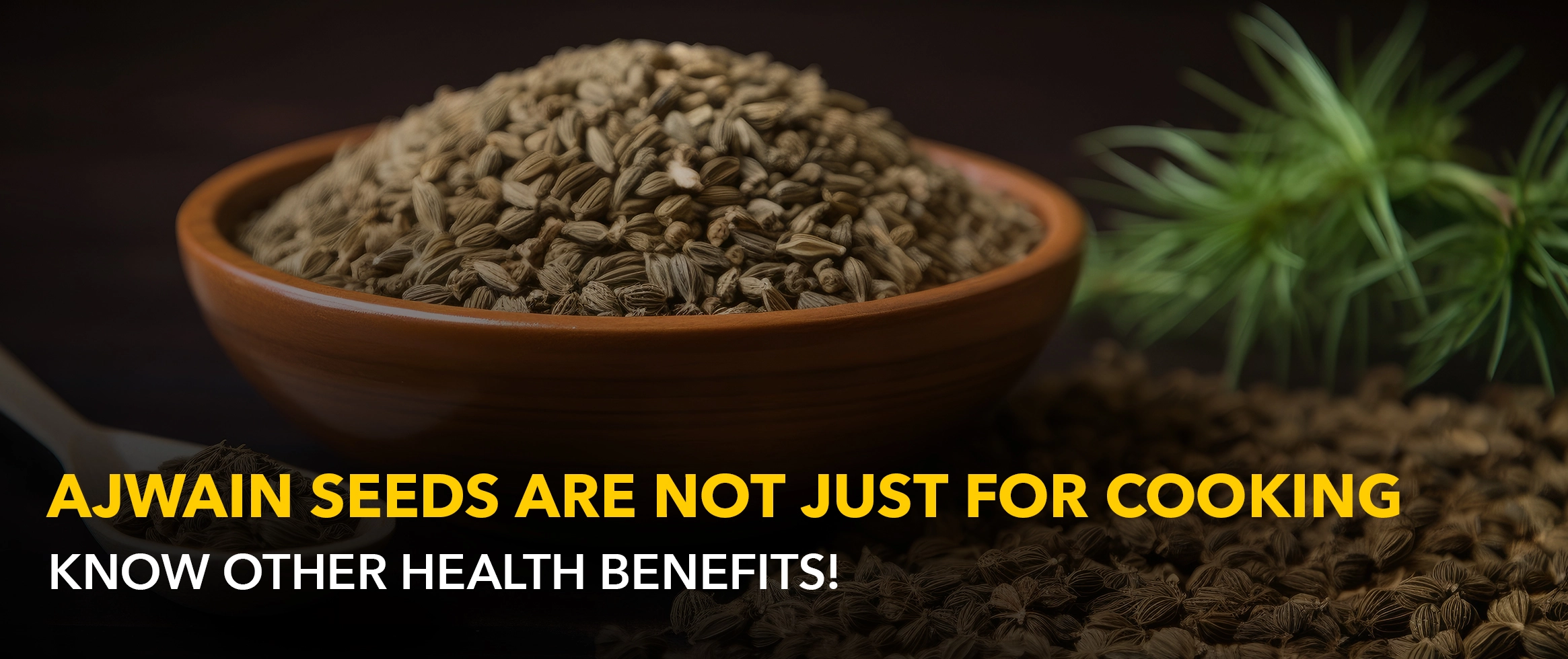 Ajwain Seeds benefits