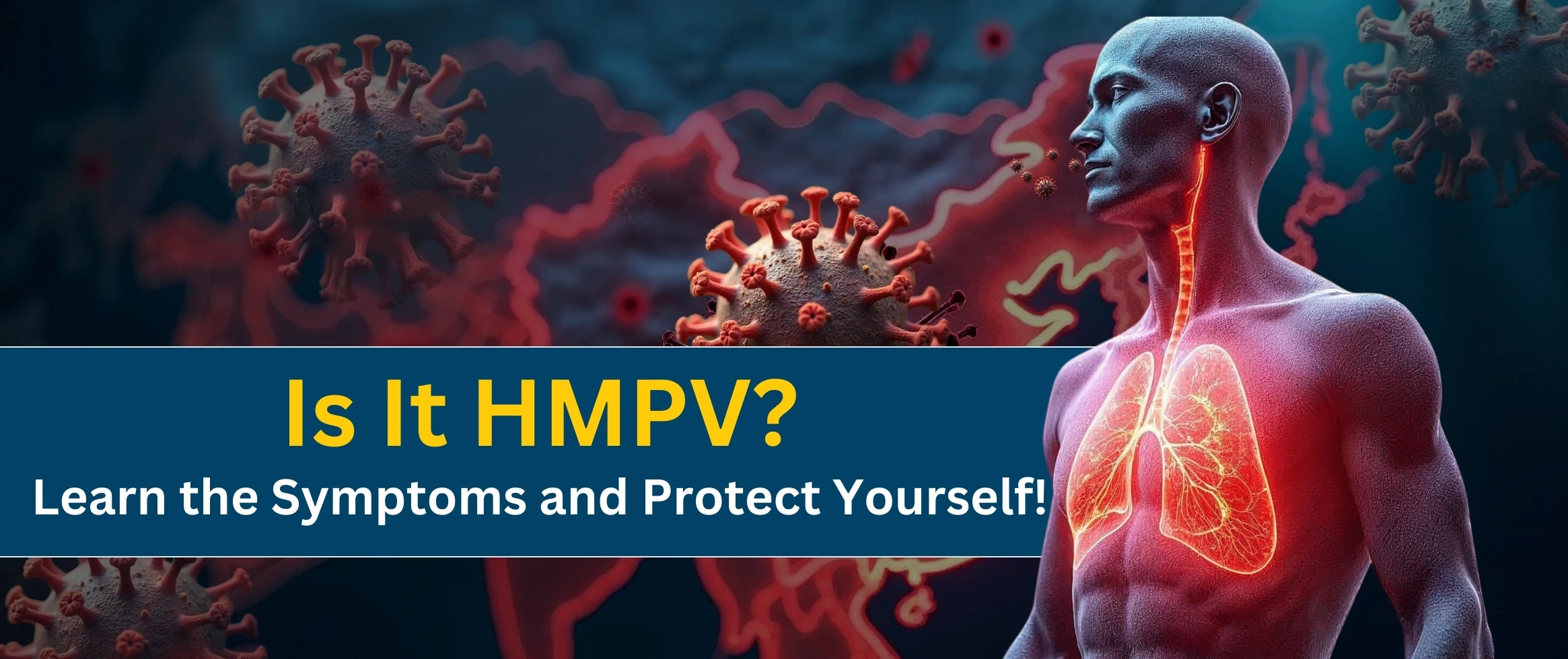  Human Metapneumovirus (HMPV) Outbreak: Cases, Symptoms, and Precautions