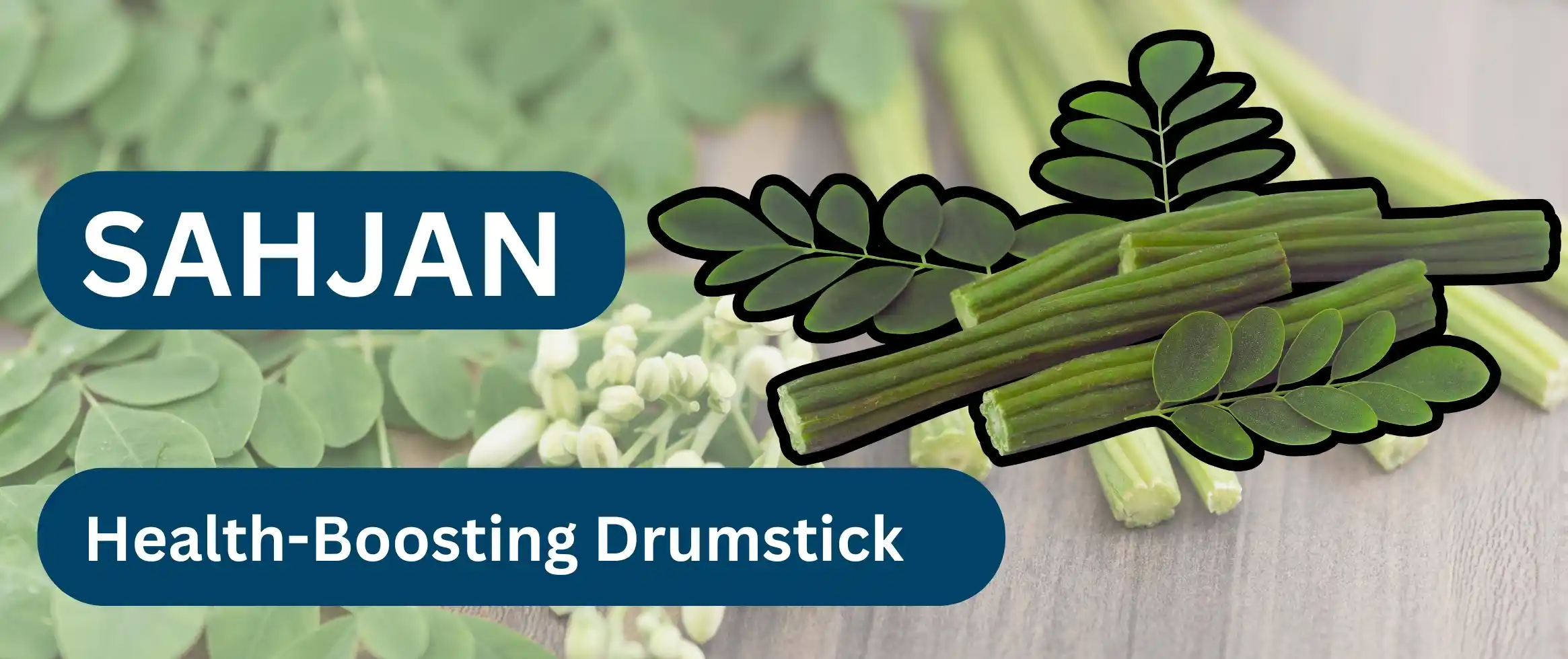  The Miracle Tree: Drumstick (Sahjan) – A Nutritional Powerhouse 