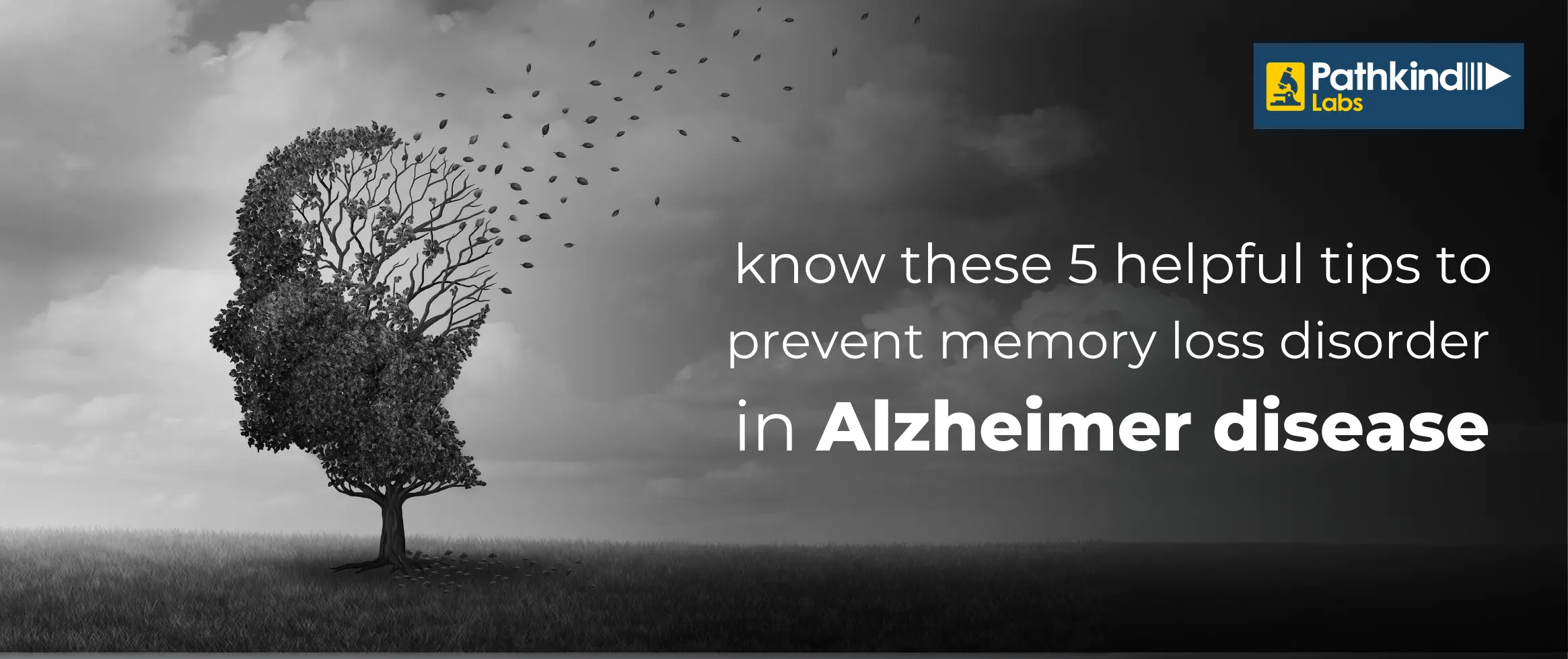  Know These 5 Helpful Tips to Prevent Memory Loss Disorder in Alzheimer...