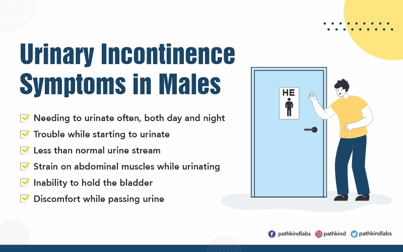 Facing Frequent Urination Issues Check If You Have Male Urinary 