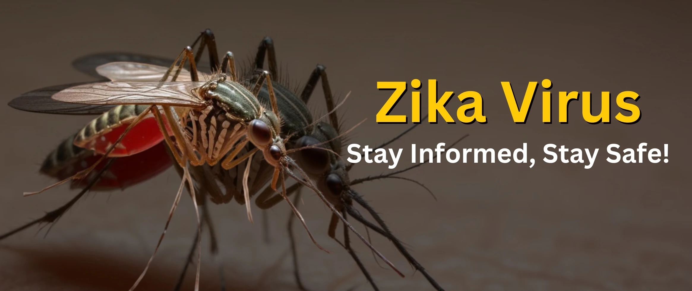 Zika Virus