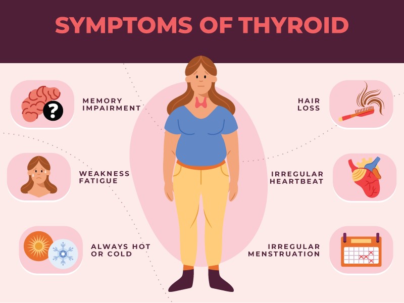 Symptoms of Thyroid